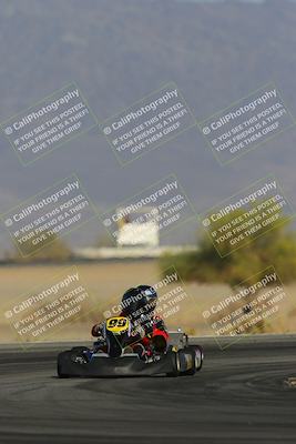 media/Mar-29-2025-Pro Autosports (Sat) [[89b1c017ad]]/6-Purple Group/Main Race/